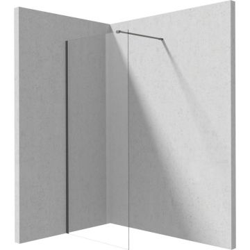 Paravan dus walk-in sticla securizata 100x195 cm titan Deante Prizma