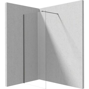 Paravan de dus Walk-in Deante Prizma titan 80x195 cm